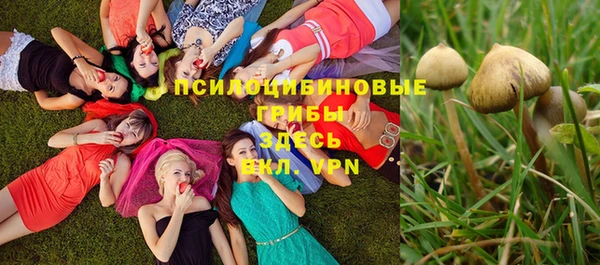 сатива Верхний Тагил