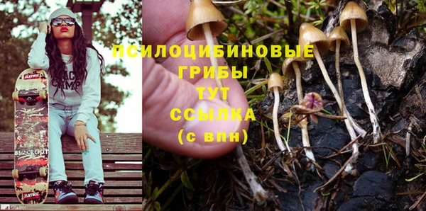 гашишное масло Гусиноозёрск