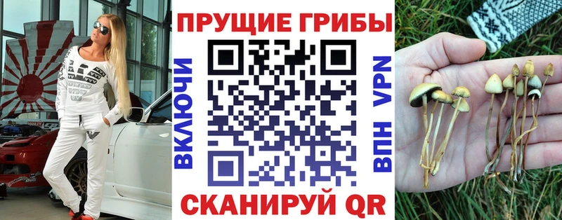 мега ссылка  Елабуга  Псилоцибиновые грибы мухоморы  сколько стоит 